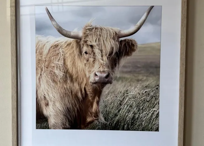 Appartement Romo Bredstedt